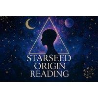 Lyran Oracle Email or Audio Reading - Personalised Channelling from the White Lion Realms (For 1, Online/Email)- The 9 Starot