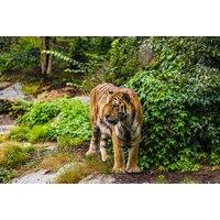 Berlin City Escape: Award-Winning Hotel Stay & Zoo Adventure Package