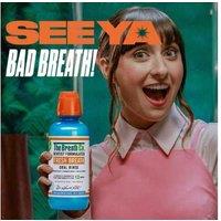 Alcohol-Free Mouthwash for Sensitive Teeth & Gums - Icy Mint 500ml - The Breath Co.