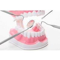 6Pcs Professional Dental Tool Kit - Stainless Steel Oral Care Set for Deep Cleaning & Oral Hygiene
