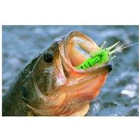 Fishing Advent Calendar - 24 Fishing Accessories & Gifts for Anglers
