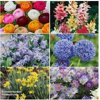 Mixed Spring Flowering Bulbs - 500 or 1000 Pack for Vibrant Gardens