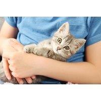CPD-Certified Animal Care - Level 3 Certification Course