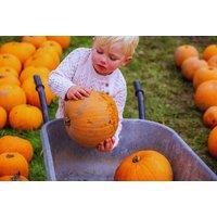 Loch Lomond Scary Trail and Pumpkin Patch Tickets For 2 or 4 w/ Optional Pumpkins - Luss
