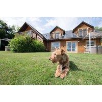 5* Loch Lomond Waterfront Lodge with Private Hot Tub & Prosecco for Up to Six - 2-4 Night Stays - Balmaha
