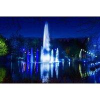 Stockeld Park: Illuminations, Enchanted Forest & Giant Snowflake Maze at The Christmas Adventure for 2, 4 or 6