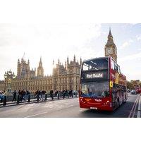 City Sightseeing 1 Day Hop-On Hop-Off Open Top London Bus Tour: Child, Adult & Family Options!