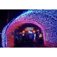 Winter Wonderland 2025 - Meet Santa & Explore Christmas Lights at CONKERS Discovery Centre