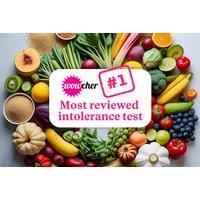At-Home Food Intolerance Test - 400 to 900 Items