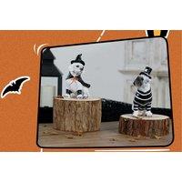Halloween Pet Dog Decorative Resin Ornament - Hand-Painted Table Decor