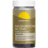 Cannaray Blackcurrant Gummies with Six Functional Mushrooms & Vitamins