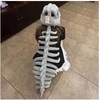 Dinosaur Skeleton Decorative Set - Lightweight PP Cotton, Realistic Wall Art for Kids' Rooms