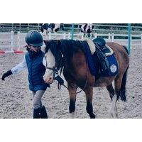 1 Hour Pony Experience for Children - Includes Grooming & Feeding - Upper Hatton Stables, Wolverhampton