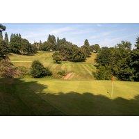 One-Hour Golf Lesson with Expert PGA Professional Coach