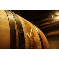 Premium Whisky Tasting with 90 Min Distillery Tour Option - Jackton Distillery - East Kilbride