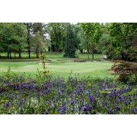 18 Holes of Golf at Scotland's Best Golf Club 2024, Tulliallan Golf Course