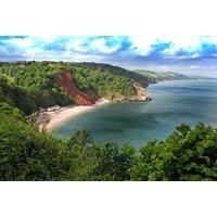 The Purple Tree Guest House