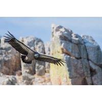 Plasencia Bird Watching Holiday with Monfrage National Park Tour - Hotel & Flights Included