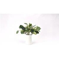 12-Piece Artificial Eucalyptus Flowers - Lifelike, Zero-Maintenance Decor