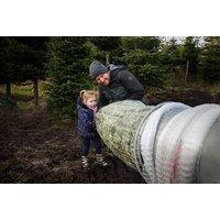 Cut Your Own Christmas Tree Family Experience with Hot Chocolate - Upgrade to Include a Wreath - Edenmill Farm, Glasgow