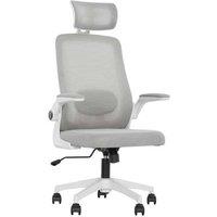 HOMCOM Ergonomic Mesh Office Chair with Adjustable Lumbar & Flip Arms, Grey