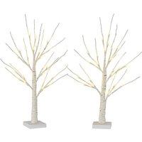 Set of 2 LED Pre-Lit Birch Twig Tree Lamps with Battery Power, 60cm
