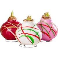 Amaryllis Touch Of Wax Art - Decorative Bulb with Vibrant Red Blooms