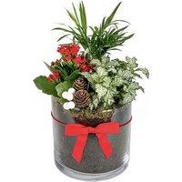 Glass Bowl Arrangement: Seasonal Houseplants for Stylish Home Dcor