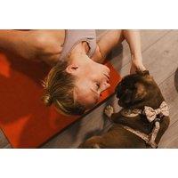 1-Hour Puppy Yoga Class for Kids & Adults - Barefoot Yoga, London - Perfect Christmas Gift