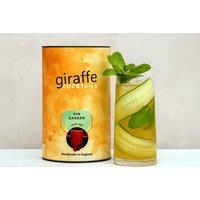 Ready Made 1.5L Cocktail Tube And Toppers - 5 Options - Perfect Christmas Gift