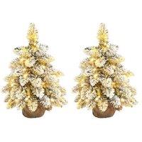 1.5ft Pre-Lit Artificial Snow-Flocked Mini Christmas Trees with Warm LED Lights - Set of 2