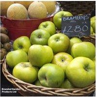 Apple 'Bramley's Seedling' Cooking Tree - RHS Award, Heavy Crops