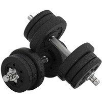 25kg Adjustable Dumbbells Set - Compact Home/Gym Weights, Steel & Plastic, Space-Saving Design