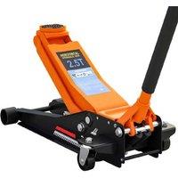 2.5 Ton Low-Profile Hydraulic Trolley Jack - Heavy-Duty Steel, Dual Piston, 47cm Lift Range