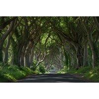 County Antrim Escape: 1 or 2 Night Stay for Two at The Hedges Hotel with Bubbly & Breakfast