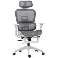 Ergonomic Mesh Office Chair - Adjustable Recline, Lumbar & Footrest, Grey & White