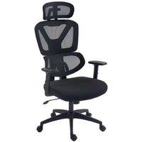 Ergonomic Mesh Office Chair - Adjustable Headrest & Lumbar Support - Black