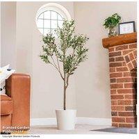 Artificial Olive Tree - Evergreen Mediterranean Houseplant, Indoor/Outdoor