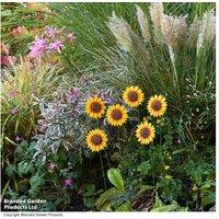 Metal Sunflower Garden Ornament Stakes - Weather-Resistant Outdoor Decor