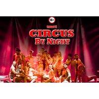 Grandstand Entry to Electrifying Circus By Night 2026 Tour Show