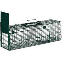 Weather-Resistant Metal Rat Trap Cage - Green Outdoor Garden Accessory