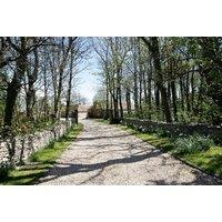 PRICE DROP! 4* Kingston Country Courtyard Stay: Breakfast & Optional Room Upgrade - Pets Welcome