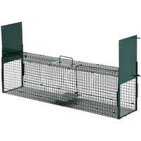 2-Door Small Animal Live Trap Cage - Humane Pest Carrier, Green Steel, Large Capacity