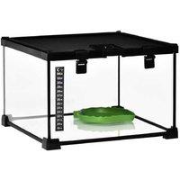 30x30x20cm Reptile Terrarium Tank - Secure Glass Enclosure for Lizards, Frogs & Snakes, Easy Clean, Black