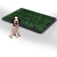 Indoor Puppy Toilet Training Mat & Tray - Easy Clean, Portable Dog Loo Pad