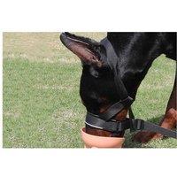 Adjustable Dog Training Head Collar with Padded Nose Loop - Reflective, Secure Fit for Small & Medium Breeds