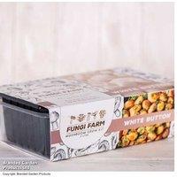 White Button Mushroom Windowsill Growing Kit - Easy Indoor Crop