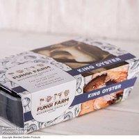 King Oyster Mushroom Windowsill Growing Kit - Indoor Edible Fungi