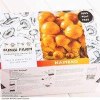 Nameko Mushroom Windowsill Kit - Grow Gourmet Mushrooms Indoors