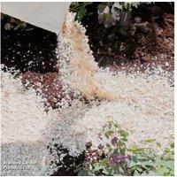 Crushed Whelk Shells - Natural Slug Deterrent & Mulch for Gardens